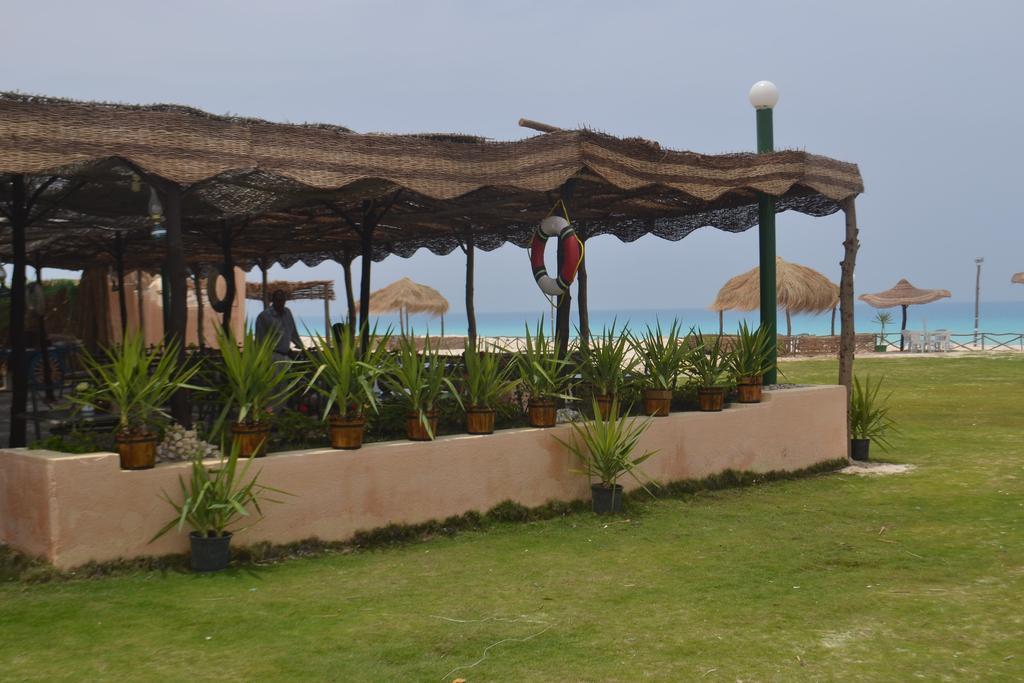 Aida Beach Hotel & Apartments - เอลอาลาเมน ภายนอก รูปภาพ