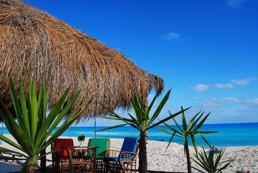 Aida Beach Hotel & Apartments - เอลอาลาเมน ภายนอก รูปภาพ