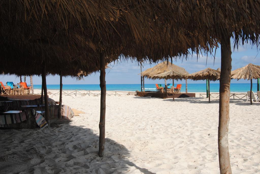Aida Beach Hotel & Apartments - เอลอาลาเมน ภายนอก รูปภาพ